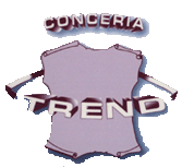 Realizzazione sito Conceria Trend Srl